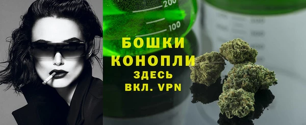 Альфа ПВП Дмитров