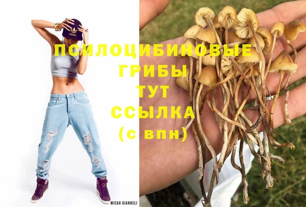 меф Елизово